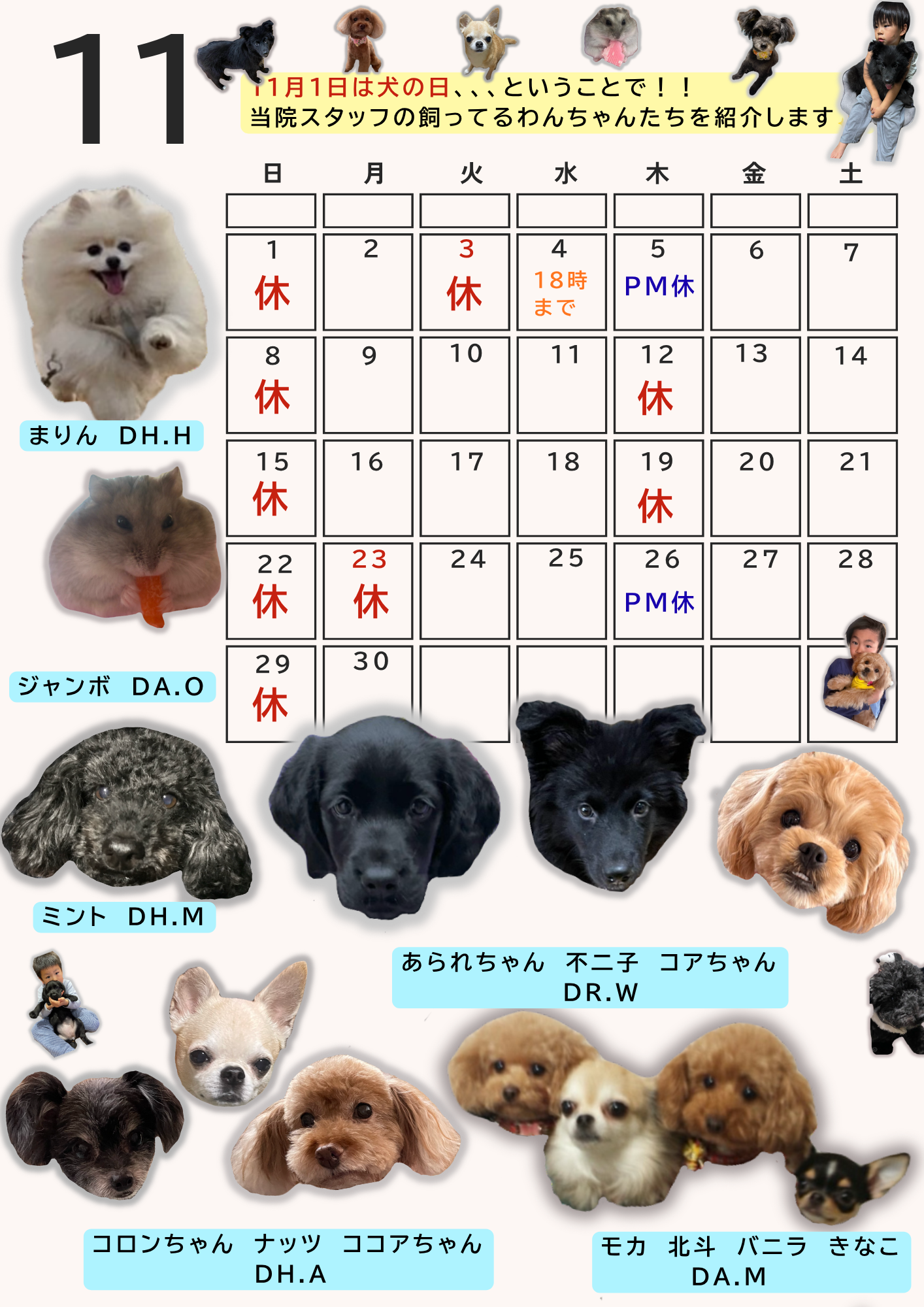 １１月カレンダー