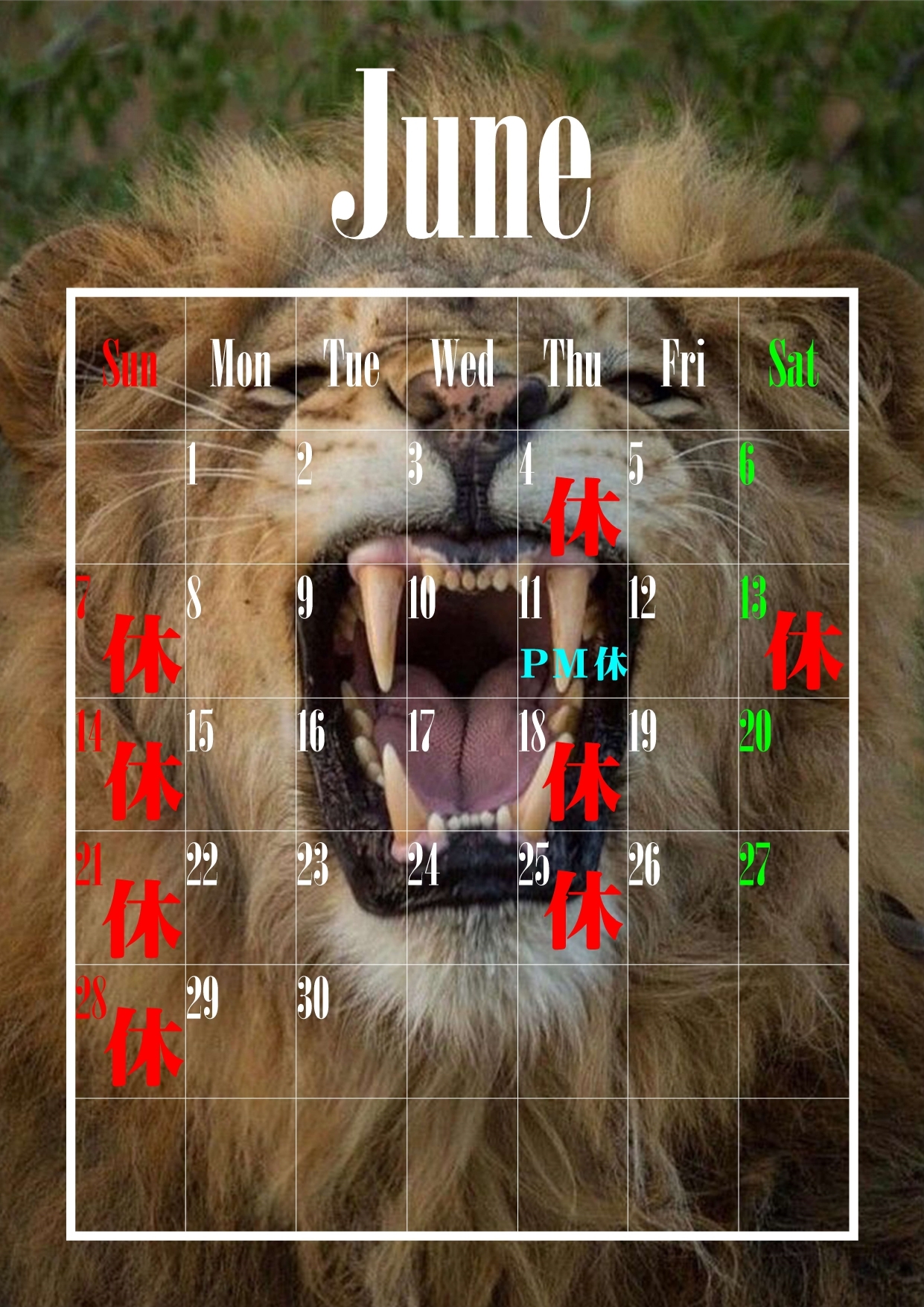 6月休診日