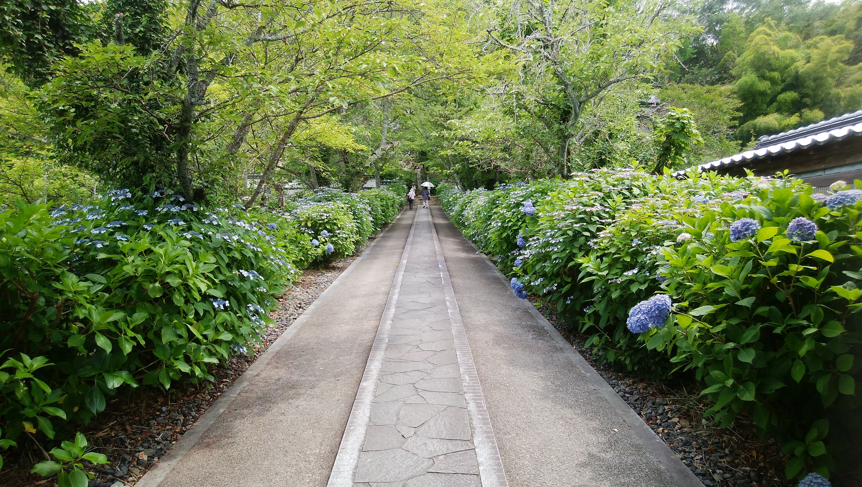 長法寺