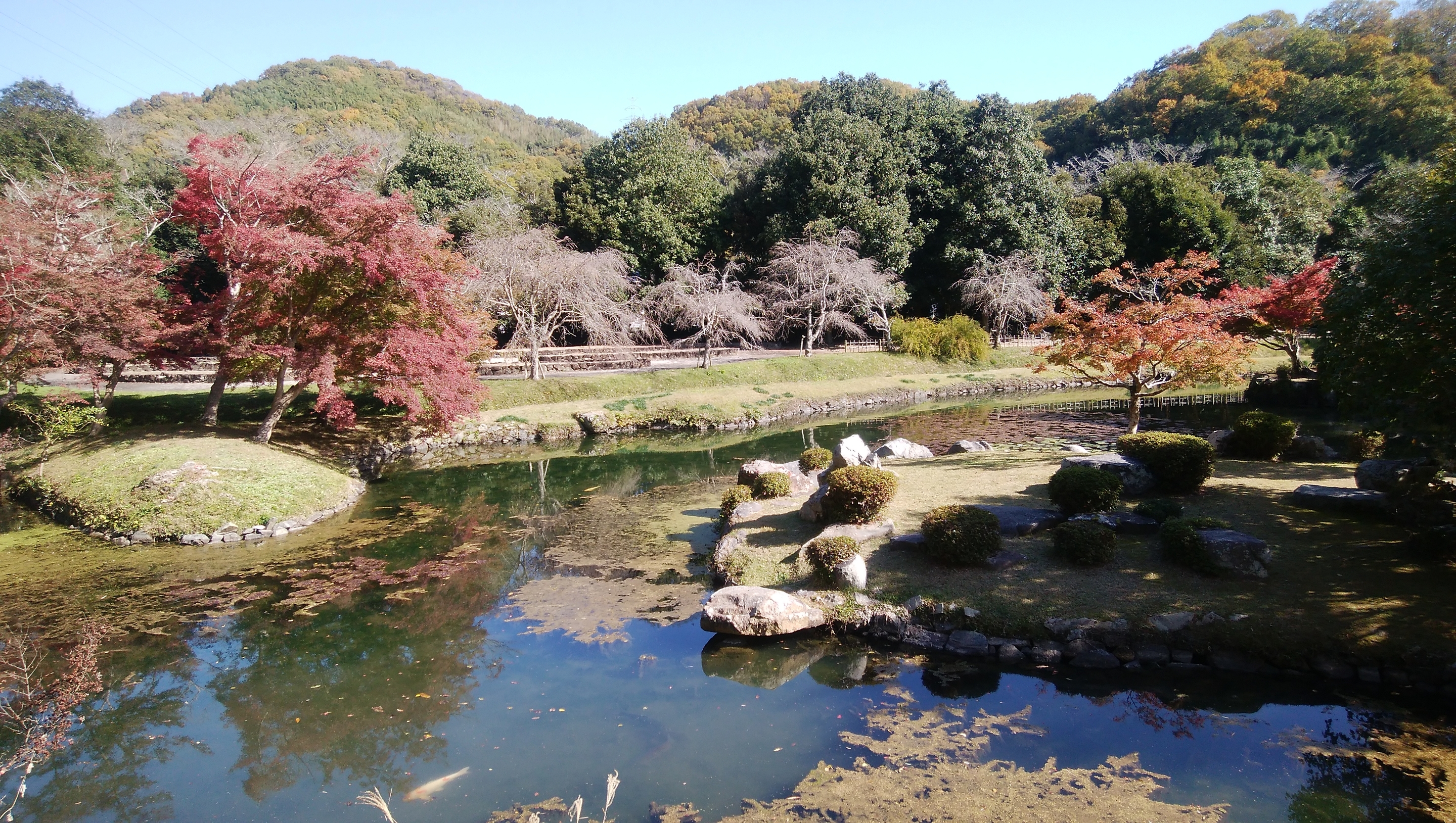 近水園