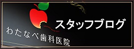 スタッフblog