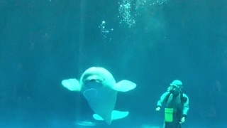 水族館